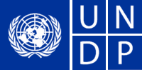 UNDP - United Nations Development Programme